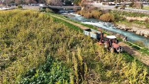 TARSUS BELEDİYESİ TARAFINDAN ÜRETİCİLERE 50 TON SİLAJLIK MISIR DAĞITILACAK