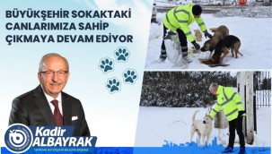 TEKİRDAĞ BÜYÜKŞEHİR BELEDİYESİ SOKAKTAKİ CANLARIMIZA SAHİP ÇIKAMAYA DEVAM EDİYOR