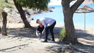 Belediyeden Plajlarda Temizlik ve Düzenleme Çalışması