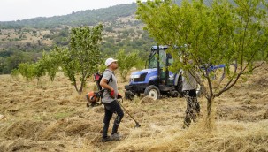 YUNUSEMRE'NİN ORGANİK MEYVE BAHÇESİNDE ÇALIŞMALAR SÜRÜYOR