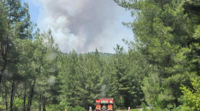 Bursa ve Antalya'da orman yangını