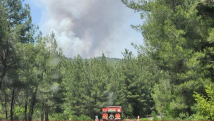 Bursa ve Antalya'da orman yangını