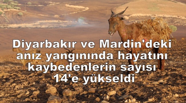 Diyarbakır ve Mardin'deki anız yangınında hayatını kaybedenlerin sayısı 14'e yükseldi