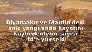 Diyarbakır ve Mardin'deki anız yangınında hayatını kaybedenlerin sayısı 14'e yükseldi